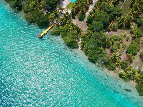 LOTE 203 | BACALAR