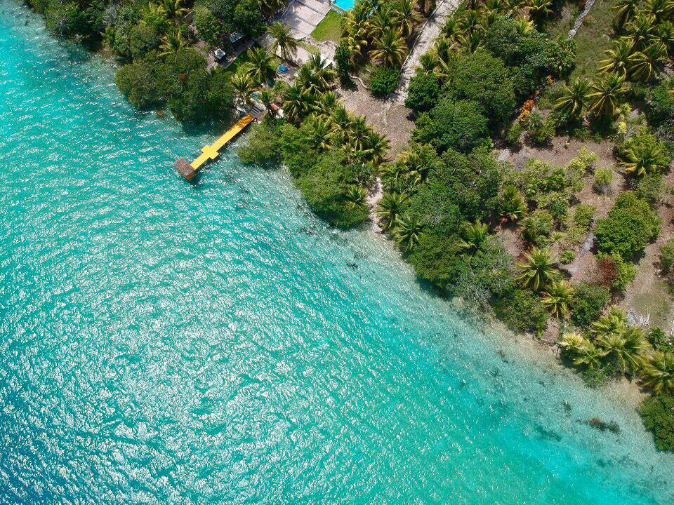 WhatsApp Image 2026-05-07 at 17.02.34 LOTE 203 | BACALAR