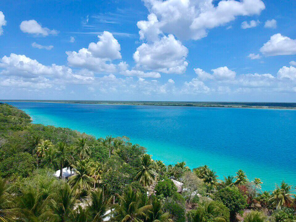 WhatsApp Image 2026-05-07 at 17.02.35 (1) LOTE 203 | BACALAR
