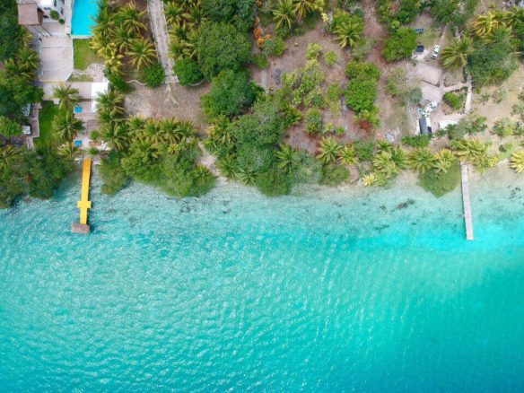 LOTE 203 | BACALAR