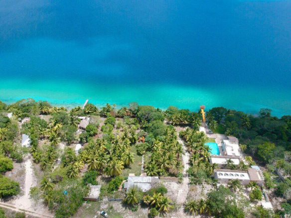 LOTE 203 | BACALAR