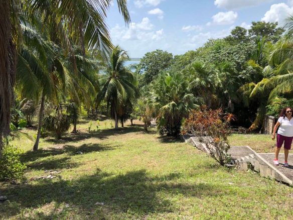 LOTE 203 | BACALAR