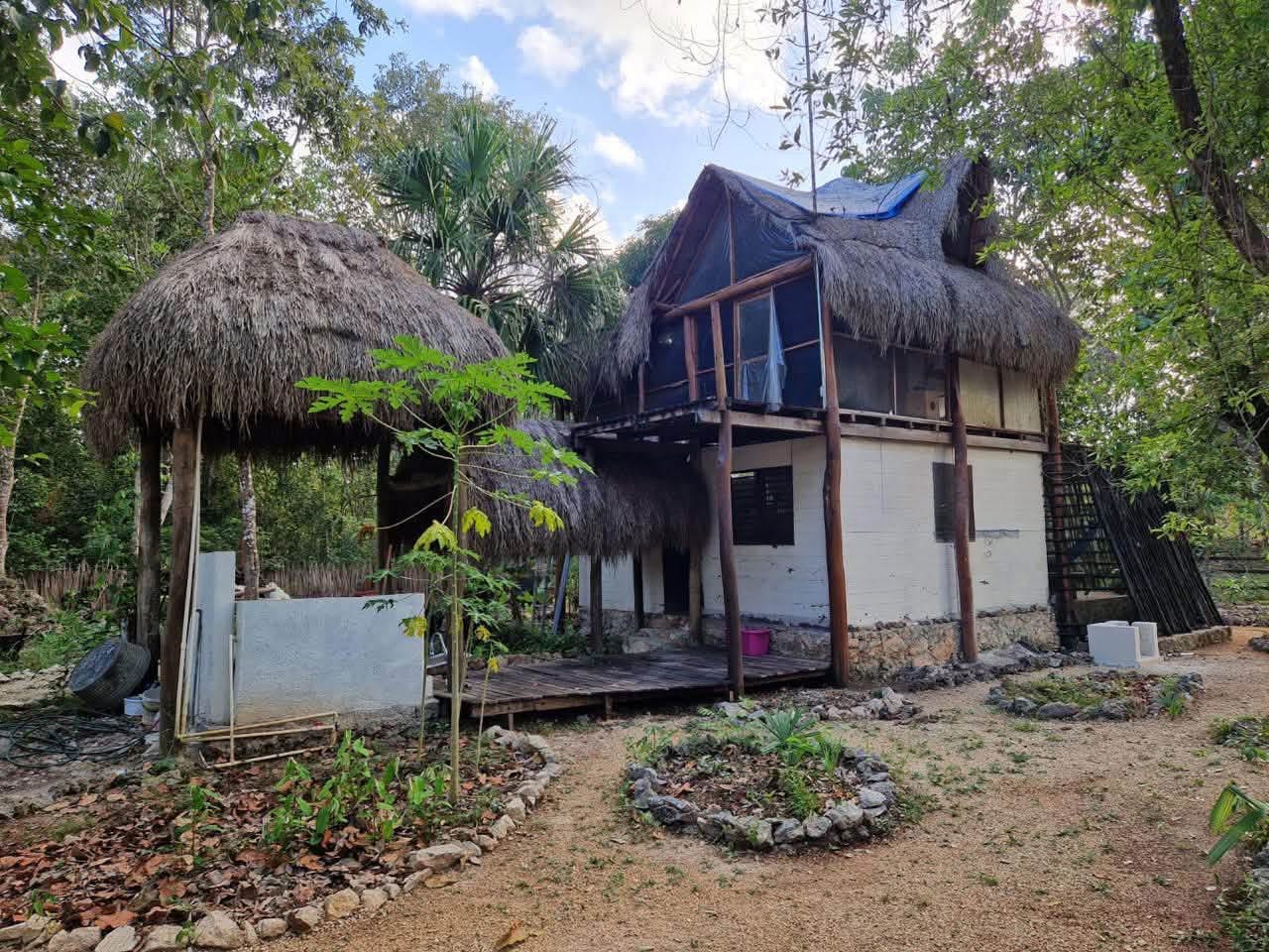 10 Lote Tortuga | Buena Vista