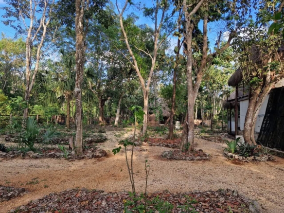 Lote Tortuga | Buena Vista