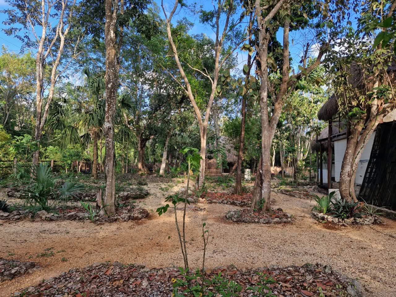 11 Lote Tortuga | Buena Vista