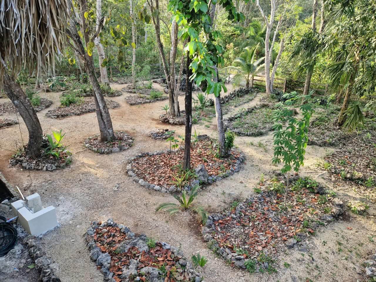 12 Lote Tortuga | Buena Vista