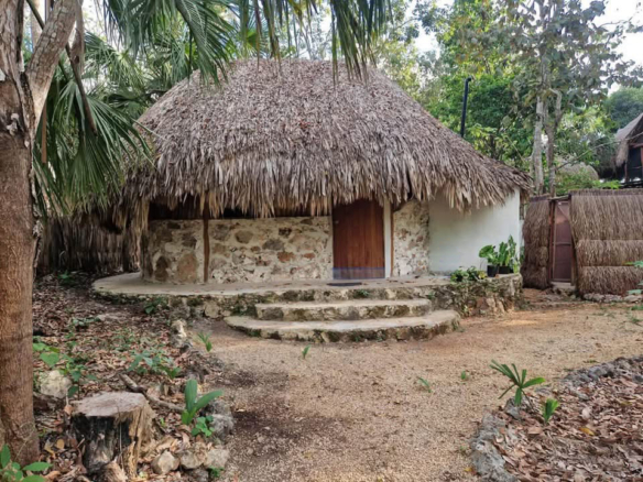 Lote Tortuga | Buena Vista