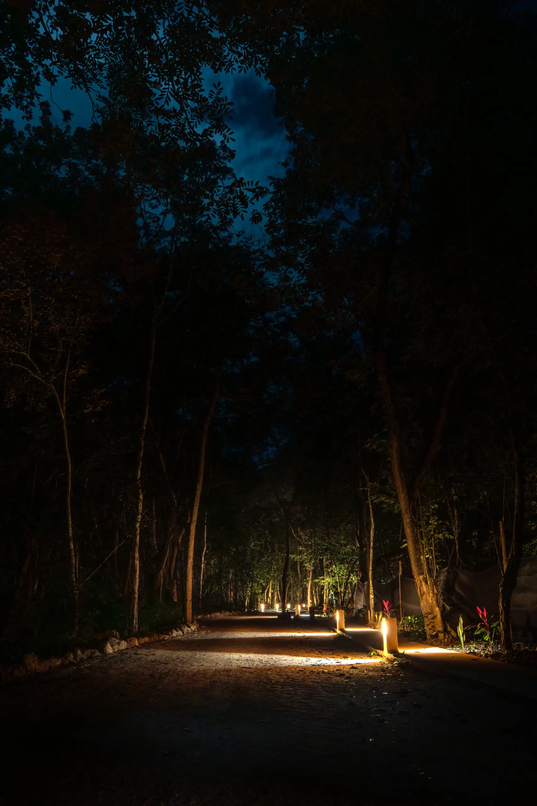 AM2026-NOCHE-17 ALDEA MAYAB