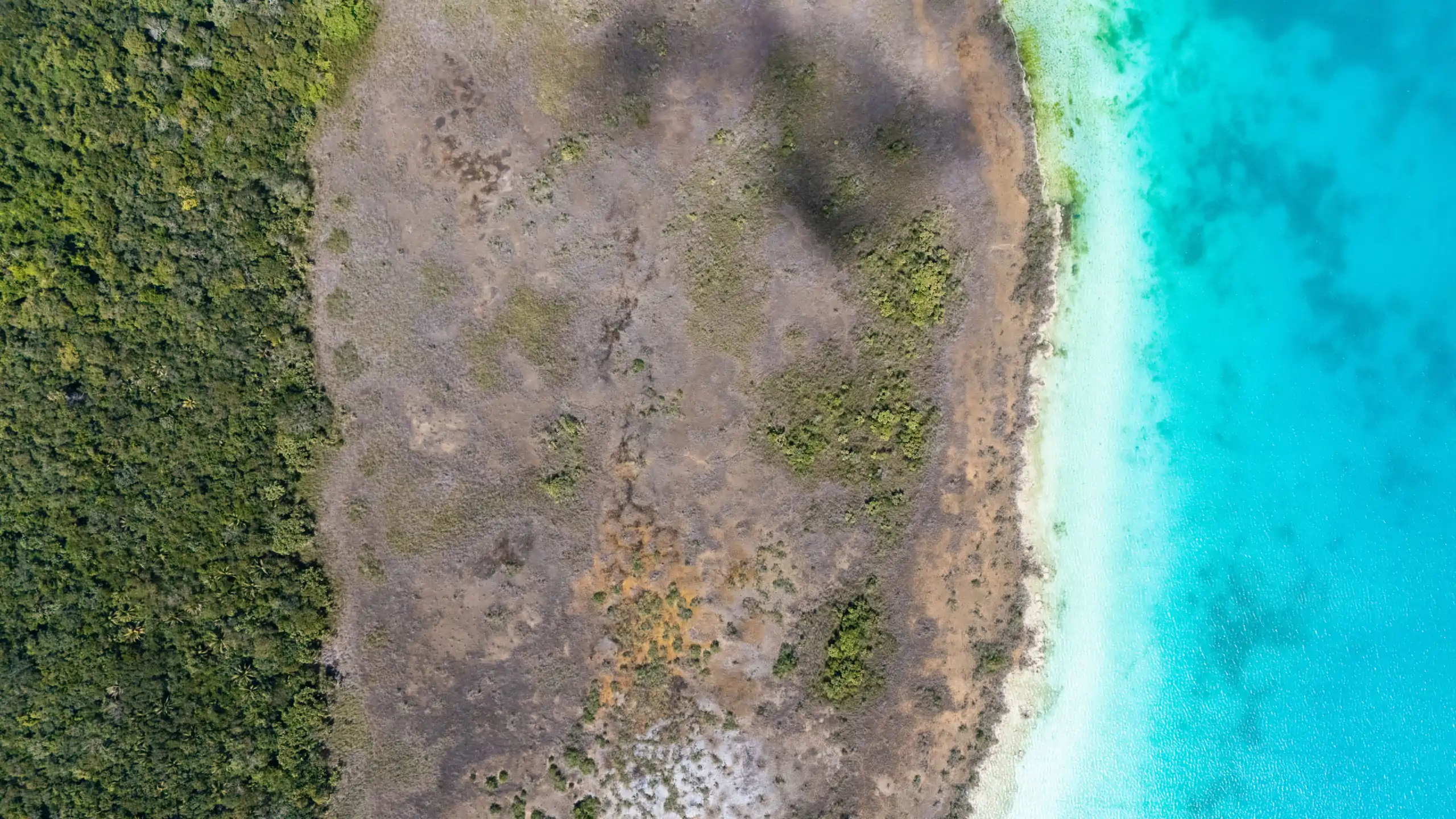 default Terreno en Bacalar frente a la laguna 10 Hectáreas